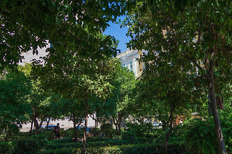 Jardin Generalitat green shade