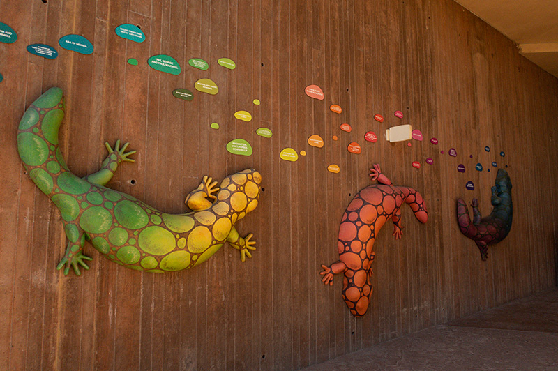 Three gecko statues, one green and yellow, one orange and red, and one purple and blue, are displayed on a wooden-slatted wall.